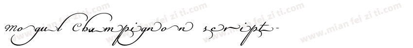 Mogul Champignon script字体转换